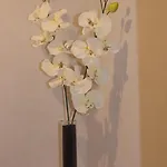 Le Clos Des Oiseaux Отель типа 