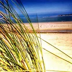 Le Clos Des Oiseaux Bed & Breakfast Saintes