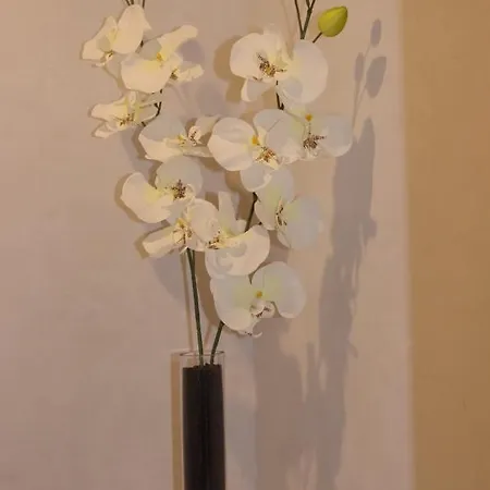 Le Clos Des Oiseaux Bed & Breakfast