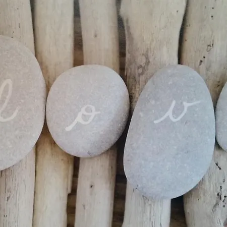 Le Clos Des Oiseaux Saintes