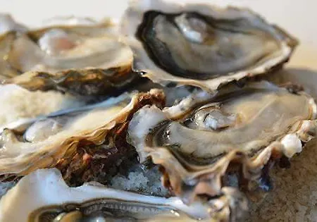 Bed & Breakfast Le Clos Des Oiseaux Saintes