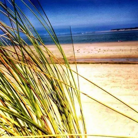 Le Clos Des Oiseaux Bed & Breakfast Saintes