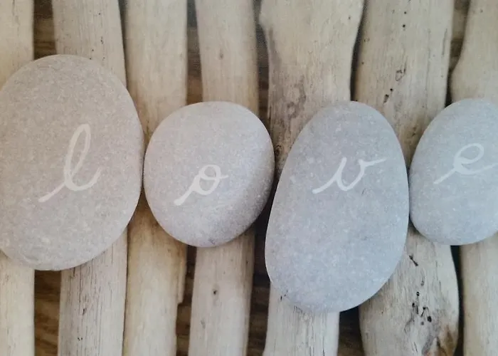 Le Clos Des Oiseaux Saintes