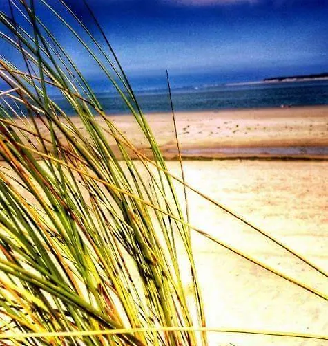 Le Clos Des Oiseaux Bed & Breakfast Saintes